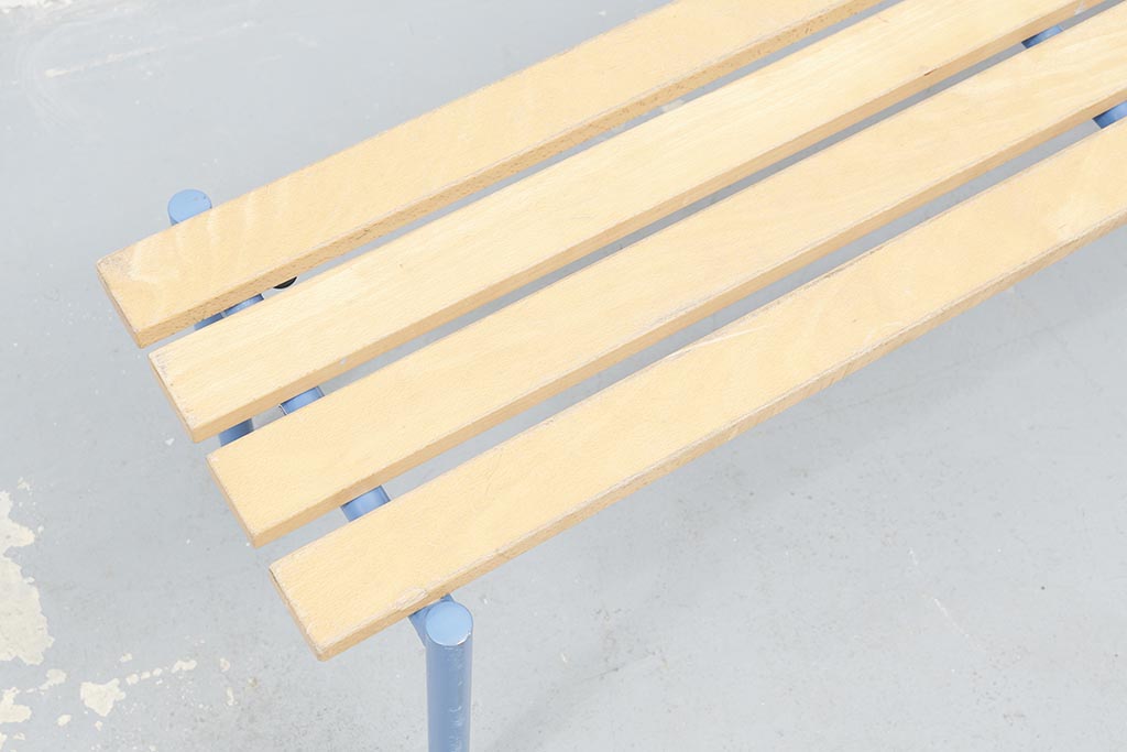 Blue beech school bench