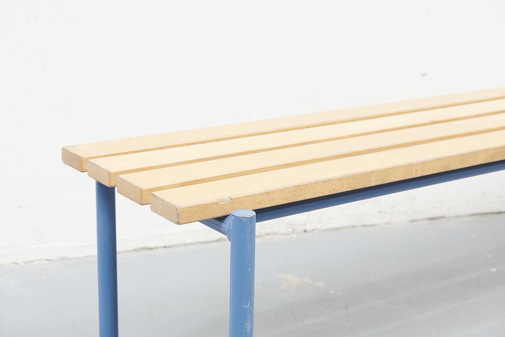 Blue beech school bench