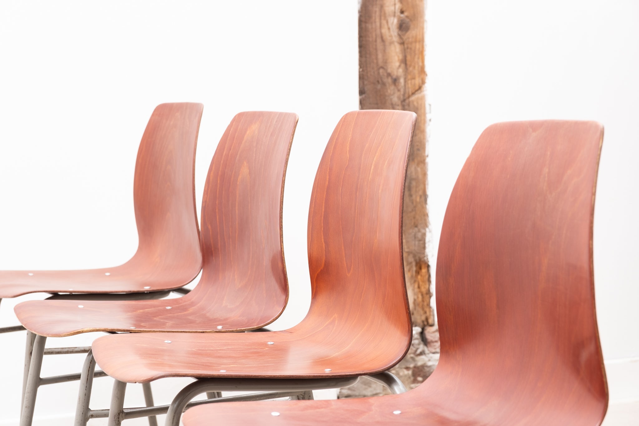 Stackable chair in gray oak pagholz